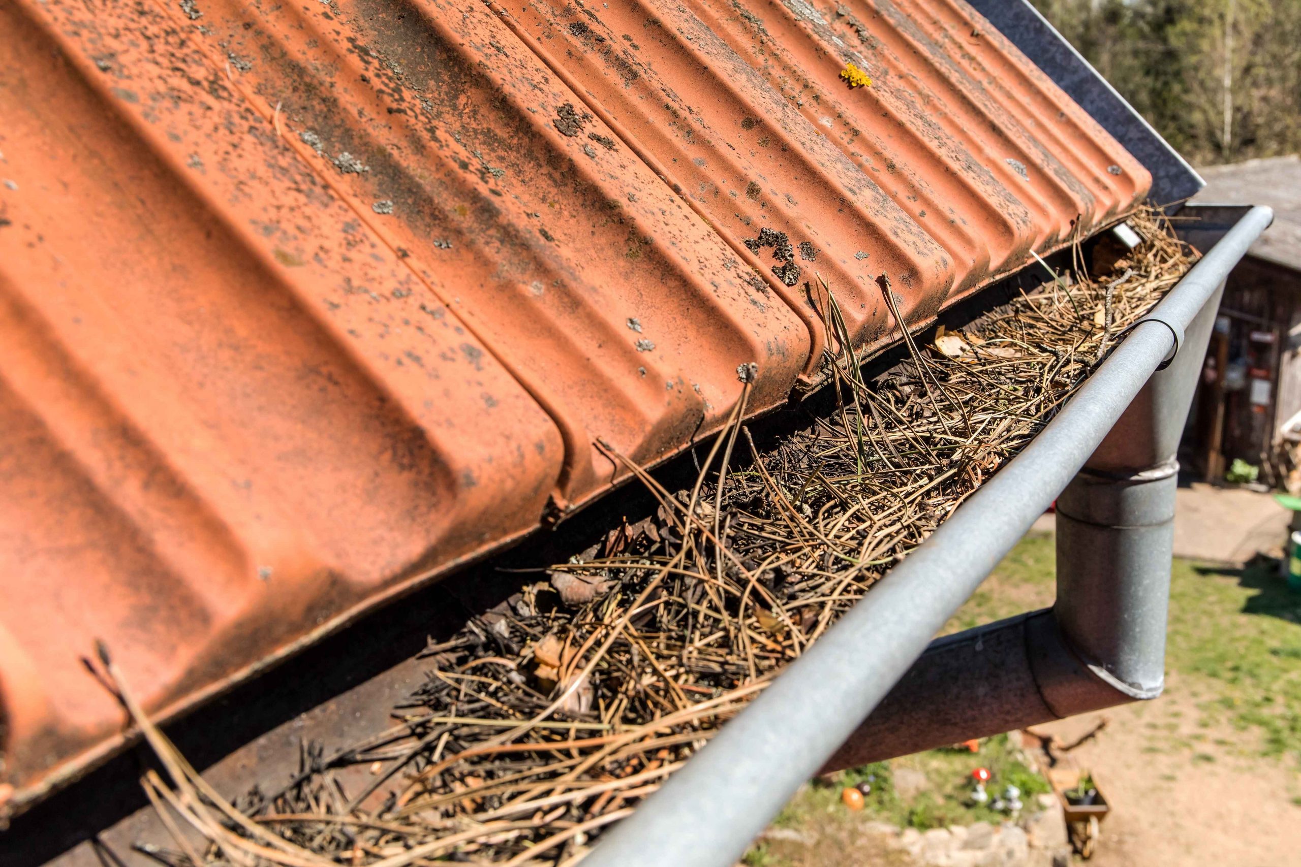 Close-up of a metal gutter clogged with leaves and debris next to a weathered metal roof, illustrating the need for regular gutter cleaning to prevent roof damage.